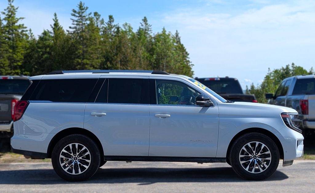 2025 Ford Expedition Platinum in Silver Metallic — front three-quarter view